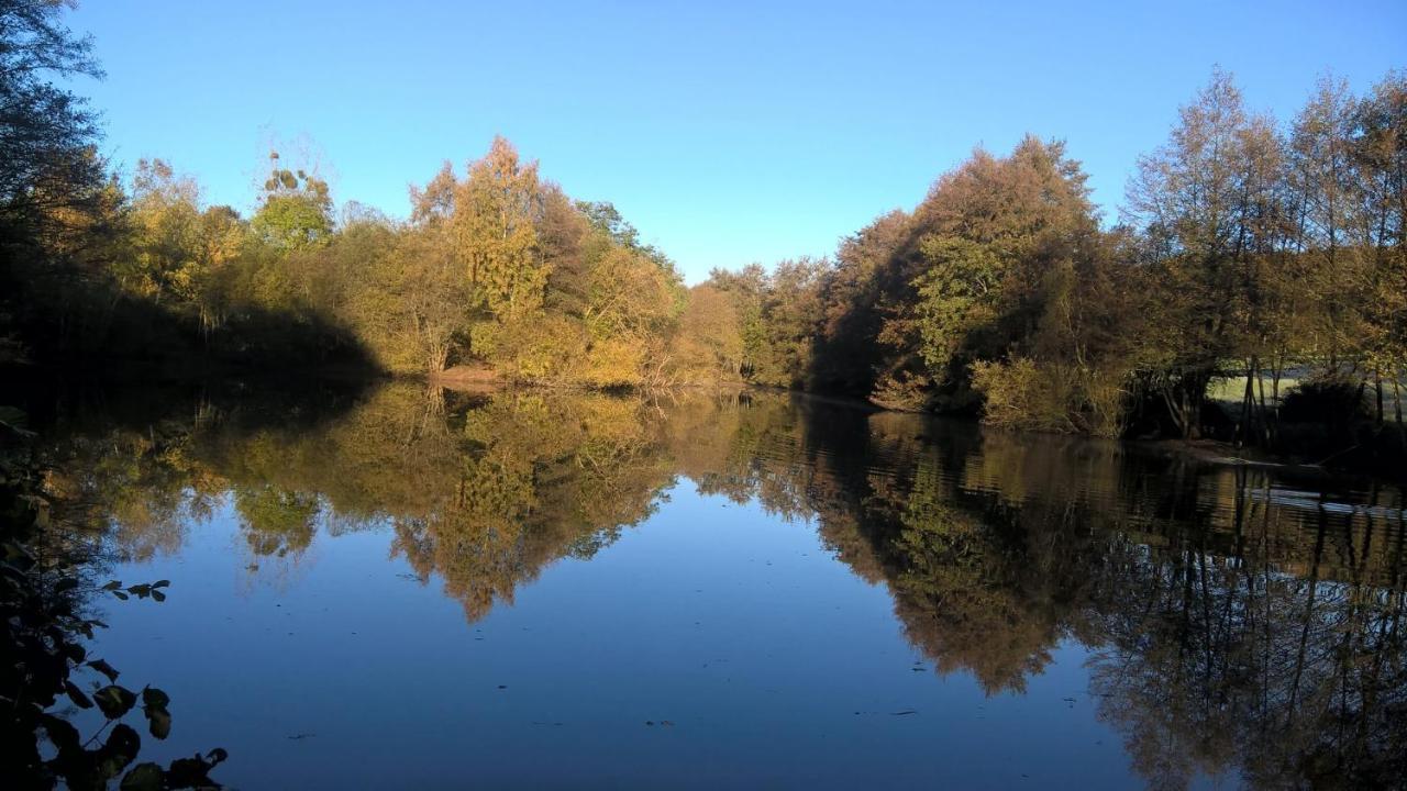 Gite Des Etangs De Beaulieu Le Plessis-Dorin Ngoại thất bức ảnh